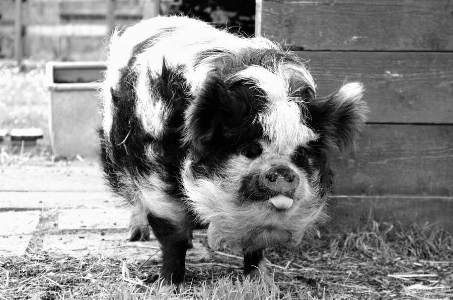 photographer Dave Wells uncategorized  photo