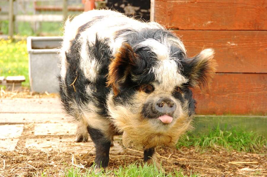 photographer Dave Wells uncategorized  photo