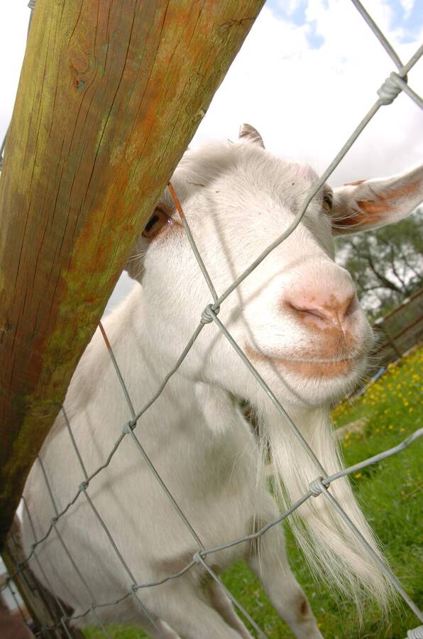 photographer Dave Wells uncategorized  photo