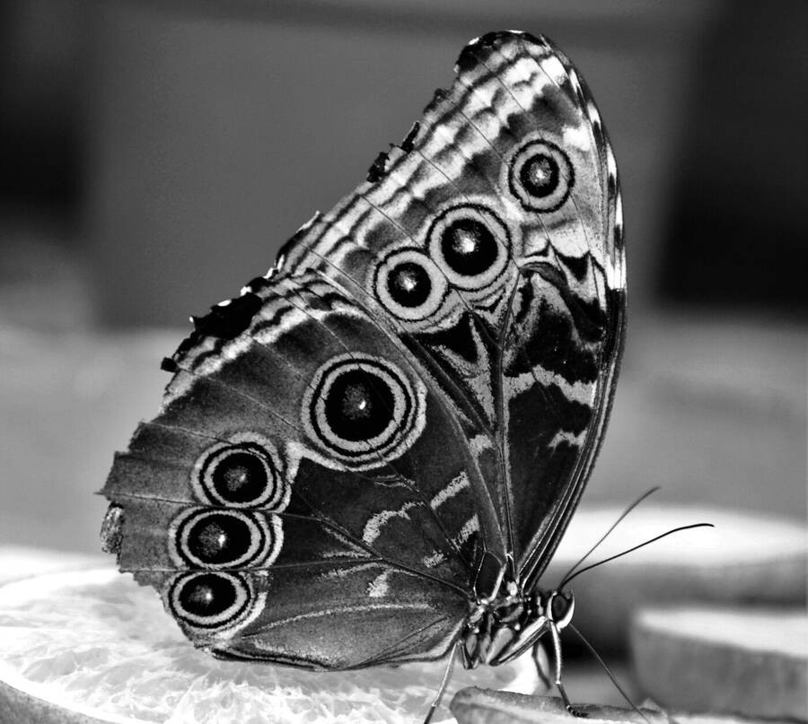 photographer Dave Wells uncategorized  photo