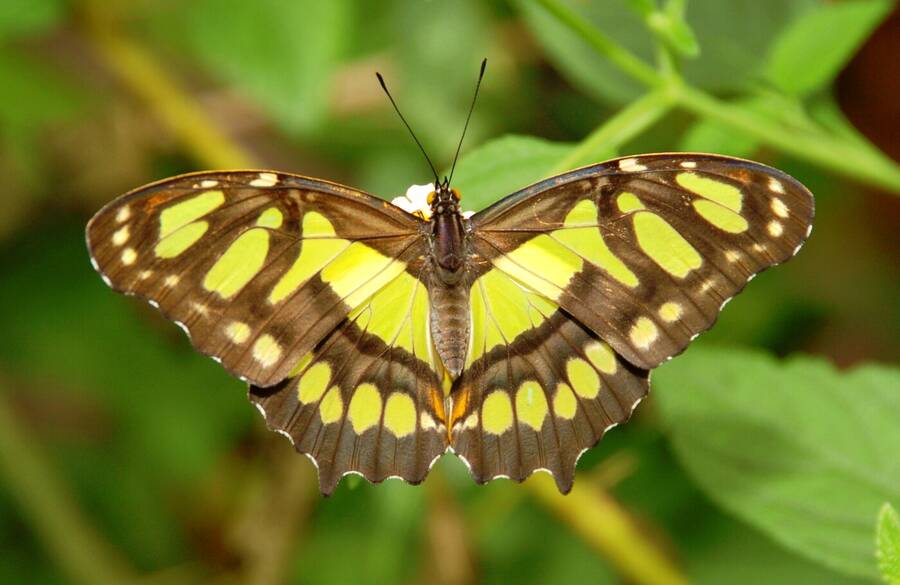 photographer Dave Wells uncategorized  photo