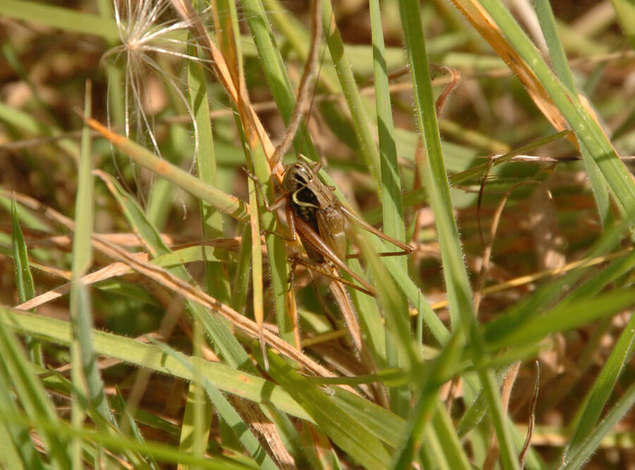 photographer Dave Wells uncategorized  photo