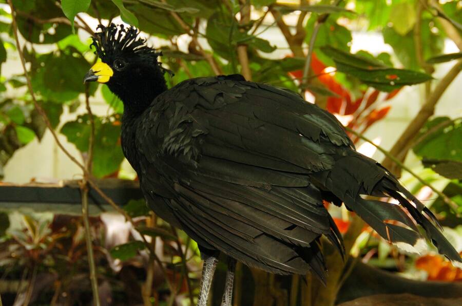 photographer Dave Wells uncategorized  photo