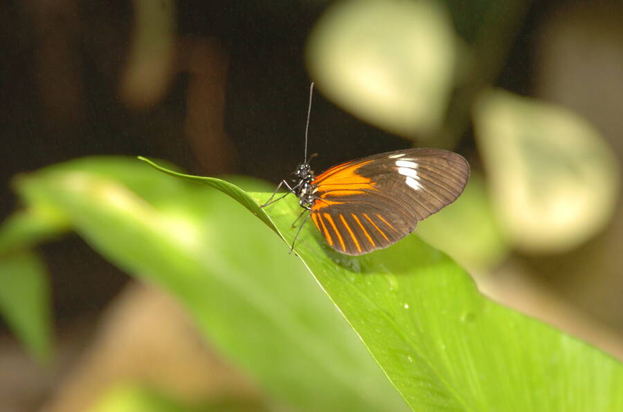 photographer Dave Wells uncategorized  photo