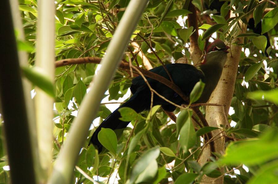 photographer Dave Wells uncategorized  photo