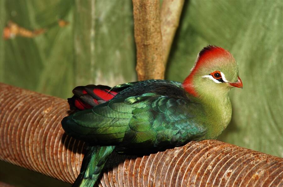 photographer Dave Wells uncategorized  photo