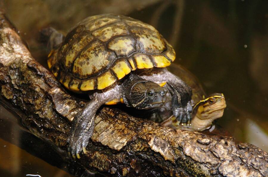 photographer Dave Wells uncategorized  photo