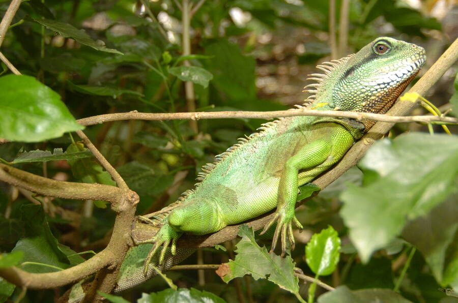 photographer Dave Wells uncategorized  photo