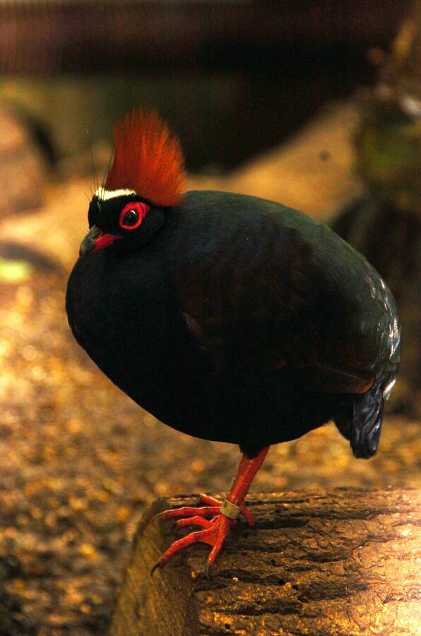 photographer Dave Wells uncategorized  photo