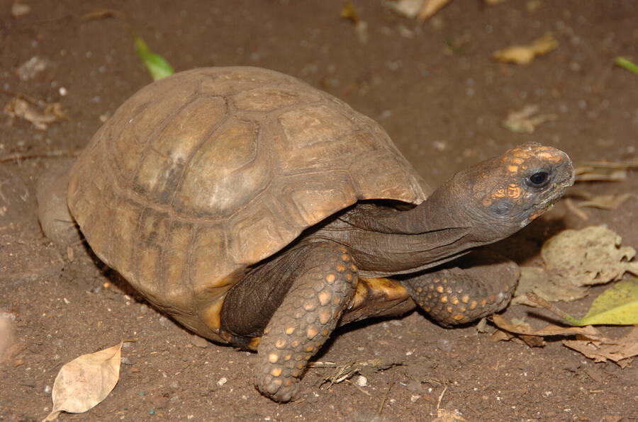 photographer Dave Wells uncategorized  photo