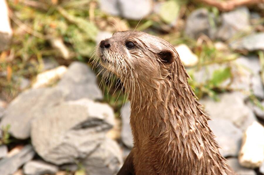 photographer Dave Wells uncategorized  photo