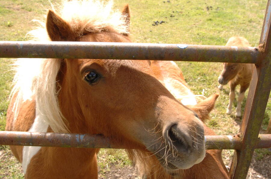 photographer Dave Wells uncategorized  photo