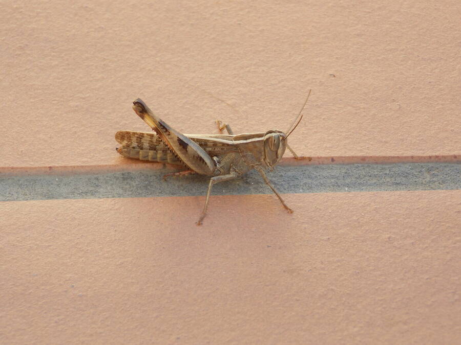 photographer Dave Wells uncategorized  photo