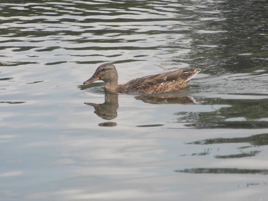 photographer Dave Wells uncategorized  photo