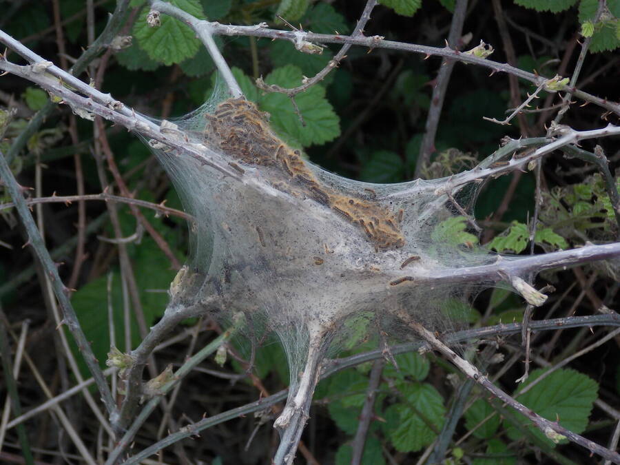 photographer Dave Wells uncategorized  photo