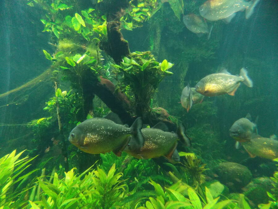 photographer Dave Wells uncategorized  photo