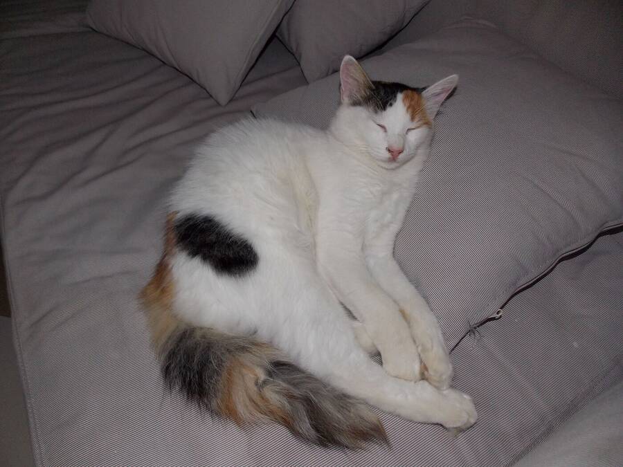 photographer Dave Wells uncategorized  photo