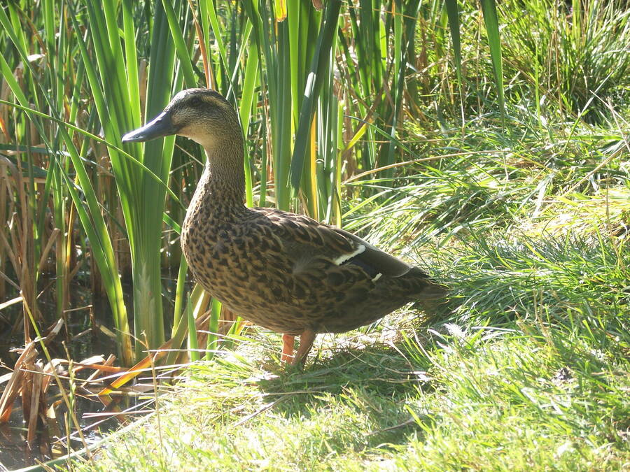 photographer Dave Wells uncategorized  photo