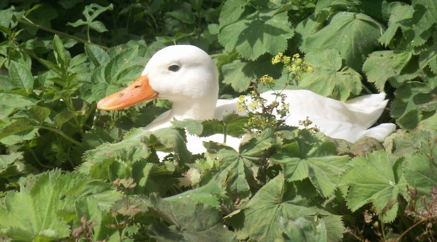 photographer Dave Wells uncategorized  photo