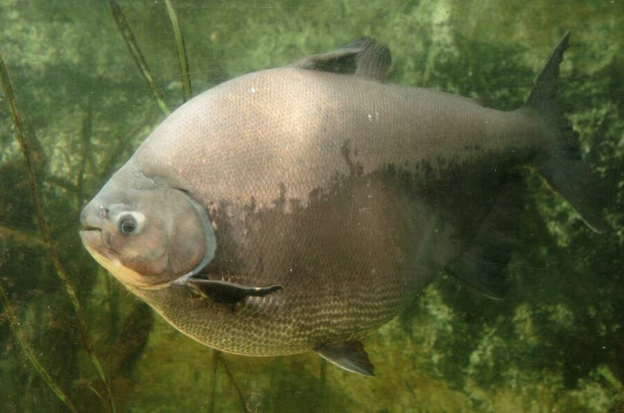 photographer Dave Wells uncategorized  photo