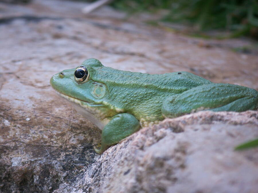 photographer Dave Wells uncategorized  photo