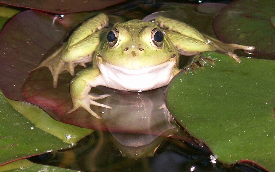 photographer Dave Wells uncategorized  photo