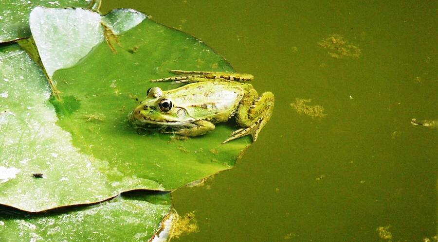 photographer Dave Wells uncategorized  photo