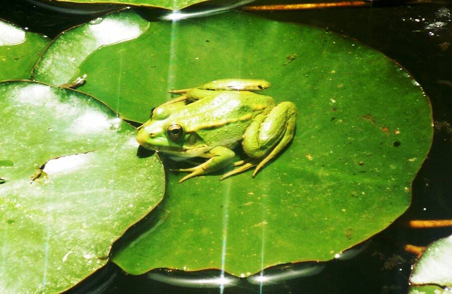 photographer Dave Wells uncategorized  photo