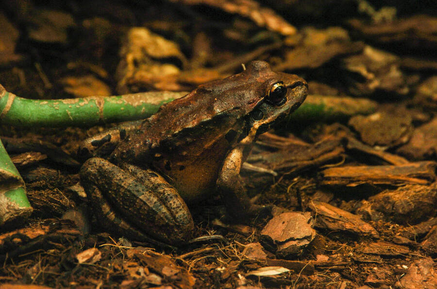 photographer Dave Wells uncategorized  photo