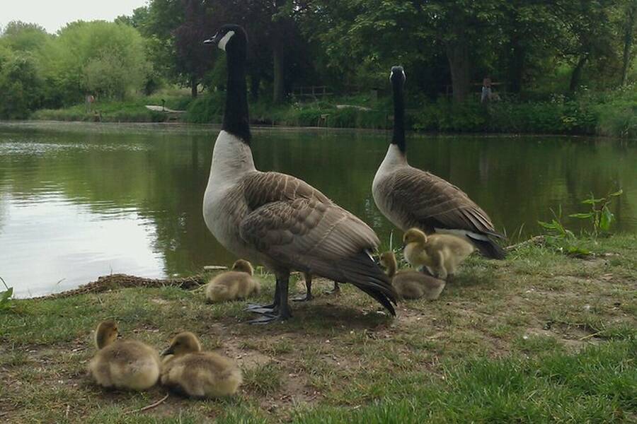 photographer Dave Wells uncategorized modelling photo