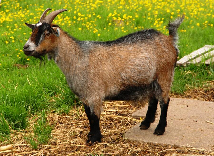 photographer Dave Wells uncategorized  photo