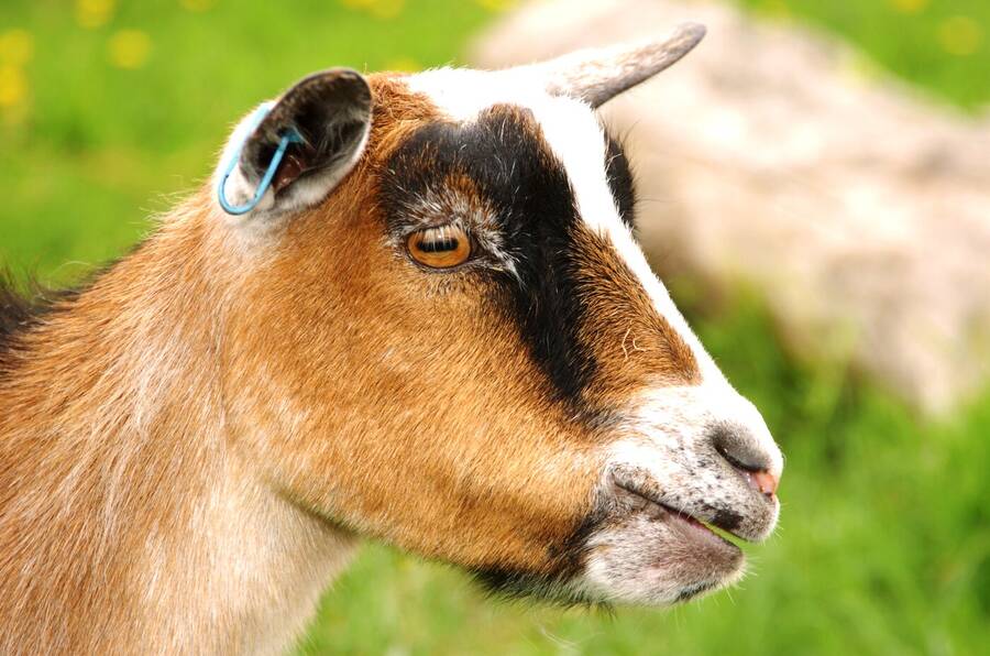 photographer Dave Wells uncategorized  photo