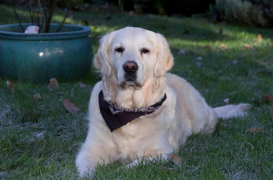 photographer Dave Wells uncategorized  photo