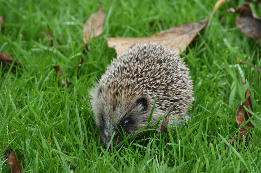 photographer Dave Wells uncategorized  photo