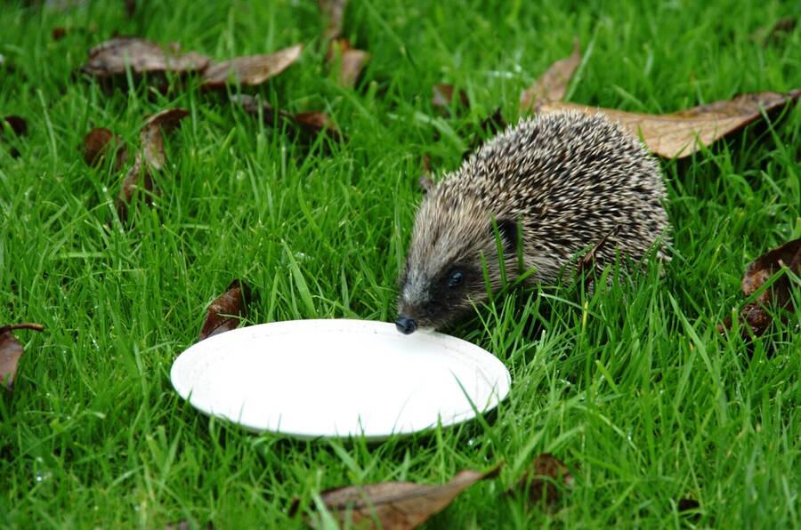 photographer Dave Wells uncategorized  photo