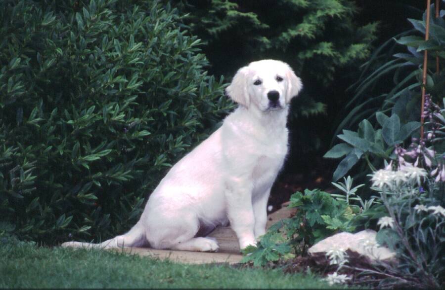 photographer Dave Wells uncategorized  photo