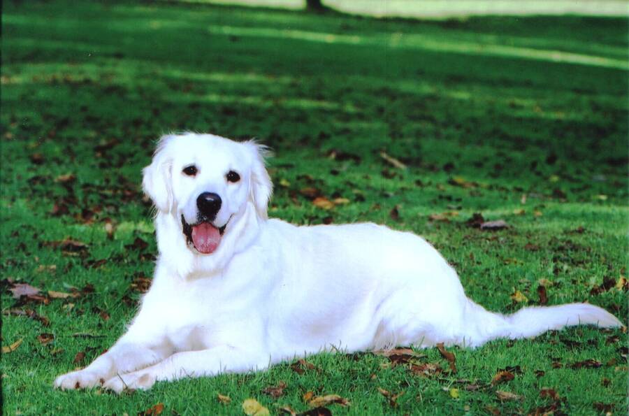 photographer Dave Wells uncategorized modelling photo