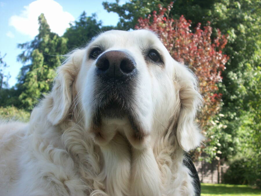 photographer Dave Wells uncategorized  photo