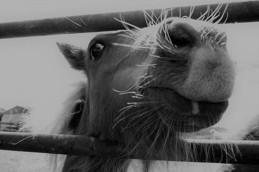 photographer Dave Wells uncategorized  photo