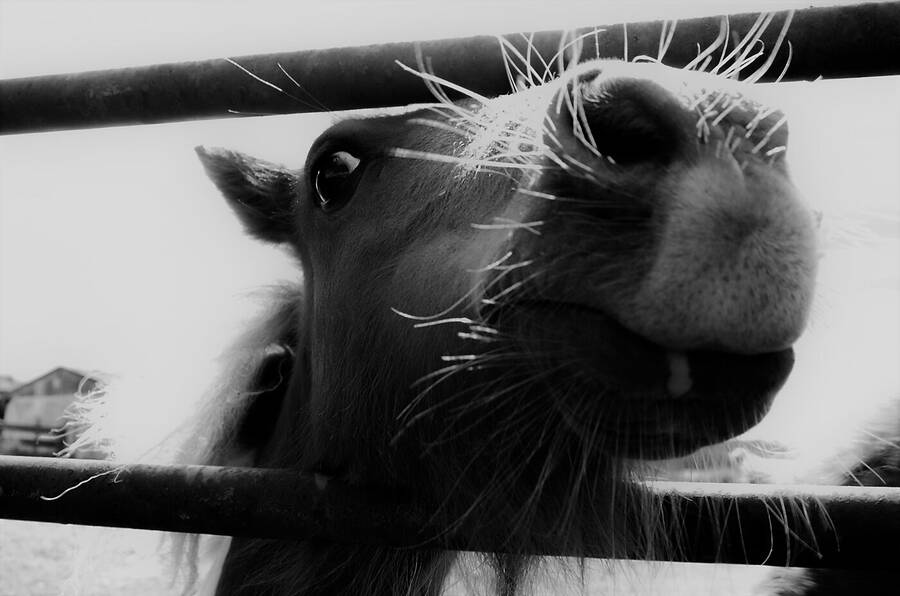 photographer Dave Wells uncategorized  photo