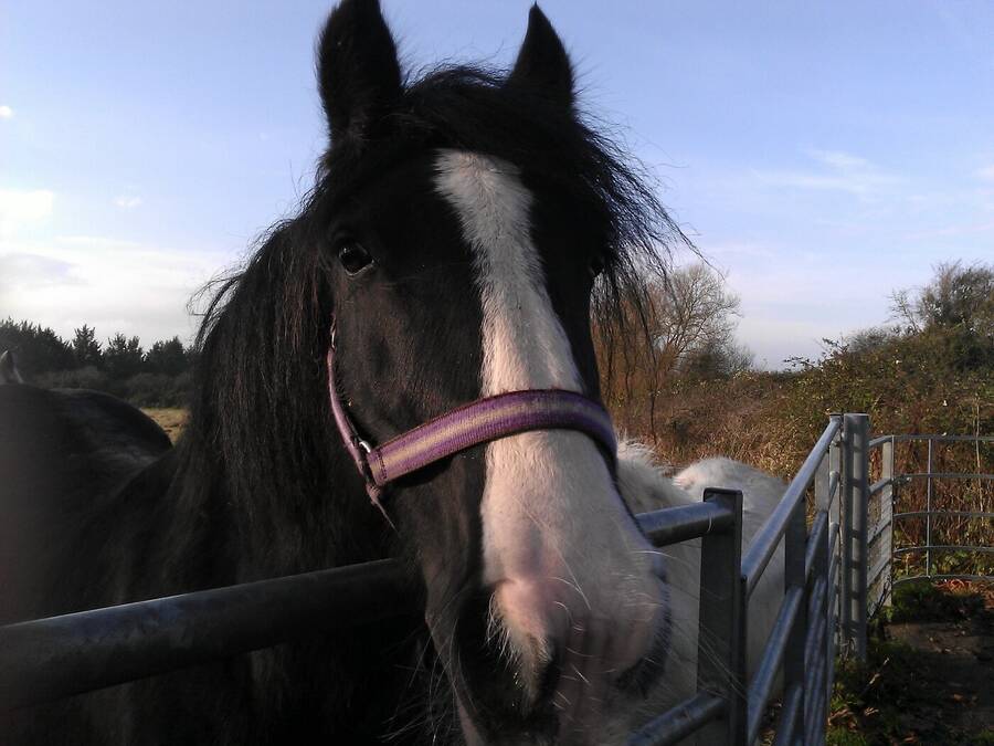 photographer Dave Wells uncategorized  photo