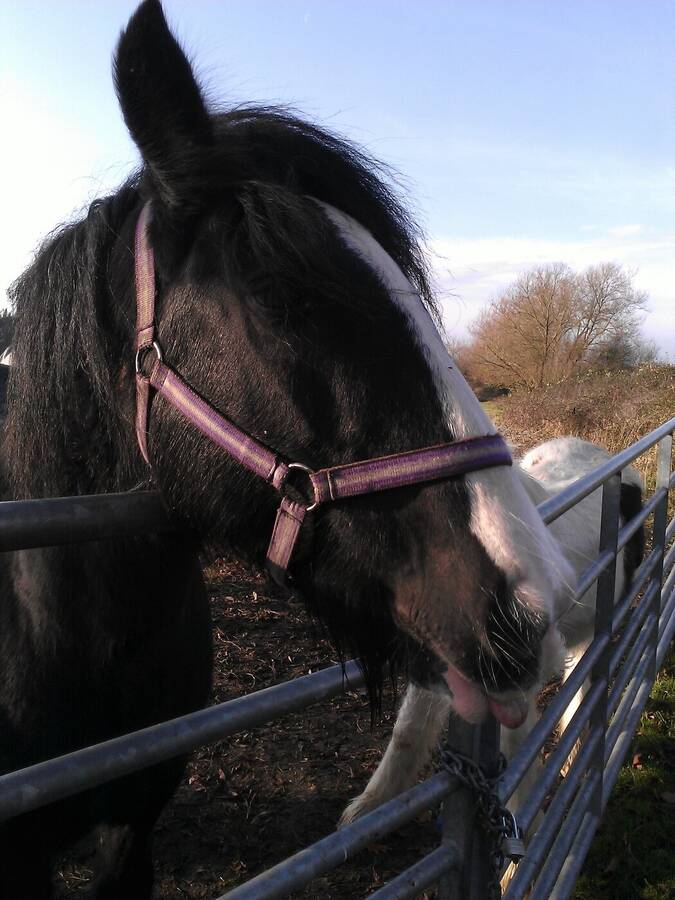 photographer Dave Wells uncategorized  photo