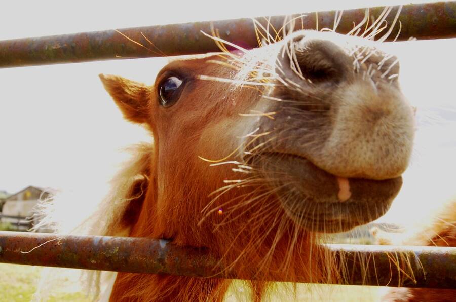 photographer Dave Wells uncategorized  photo