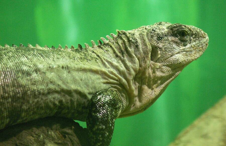 photographer Dave Wells uncategorized  photo