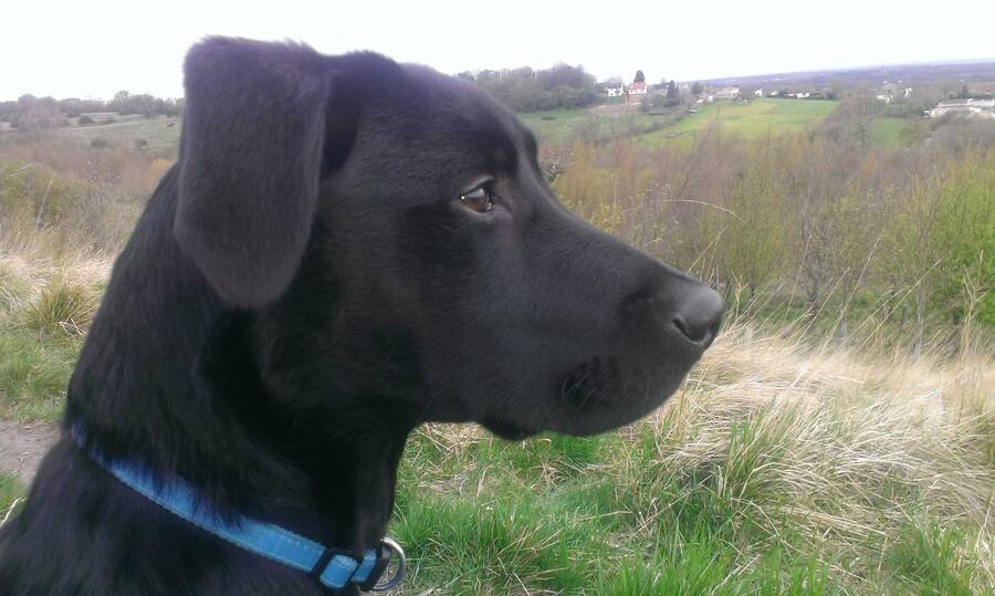 photographer Dave Wells uncategorized  photo