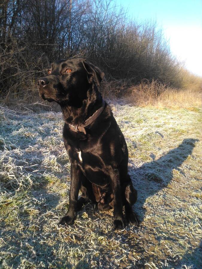 photographer Dave Wells uncategorized  photo