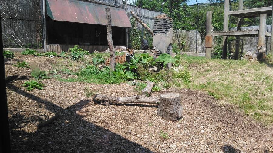 photographer Dave Wells uncategorized  photo