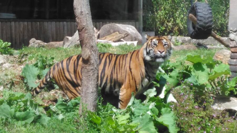 photographer Dave Wells uncategorized  photo