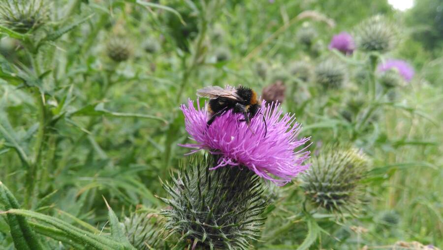 photographer Dave Wells uncategorized  photo