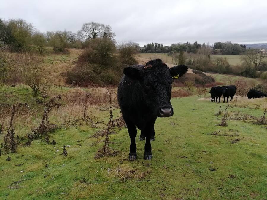 photographer Dave Wells uncategorized  photo